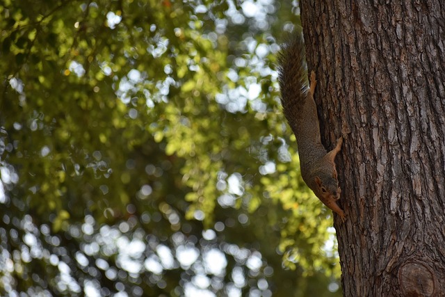 业的信息 业的信息
