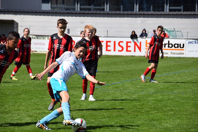 总冠军稳了 总冠军稳了