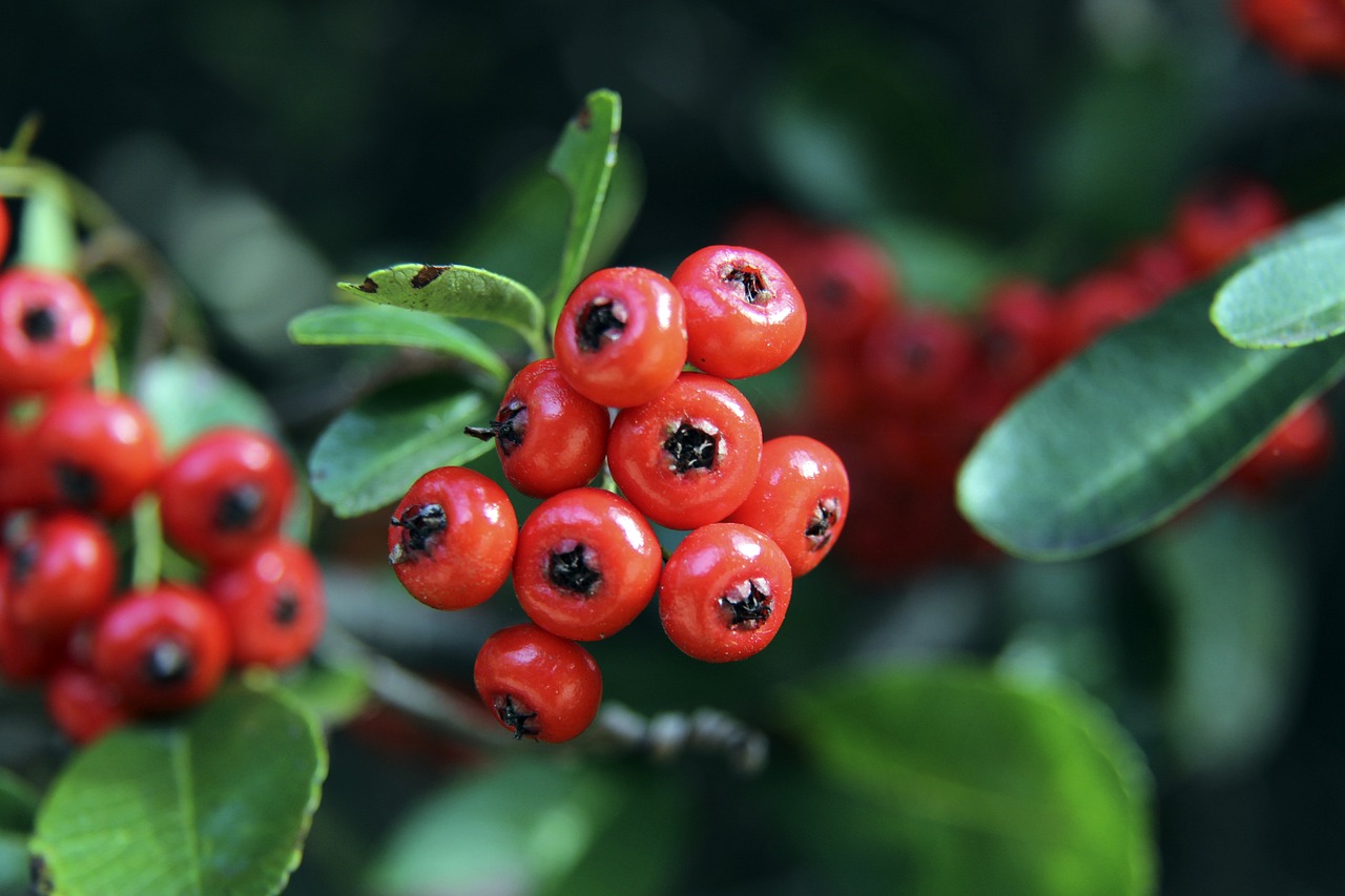 也是不可忽 也是不可忽