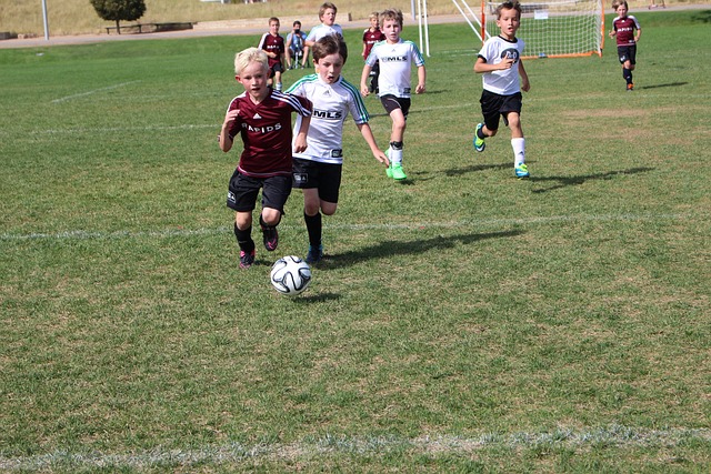 会被无限放 会被无限放