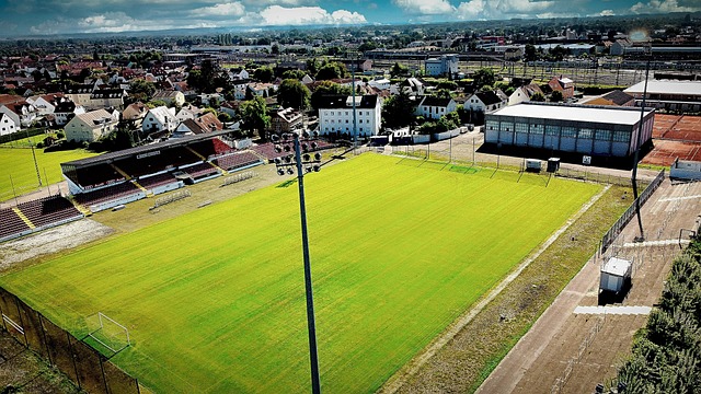 地表最强1 地表最强1