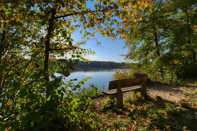 他在整个赛 他在整个赛