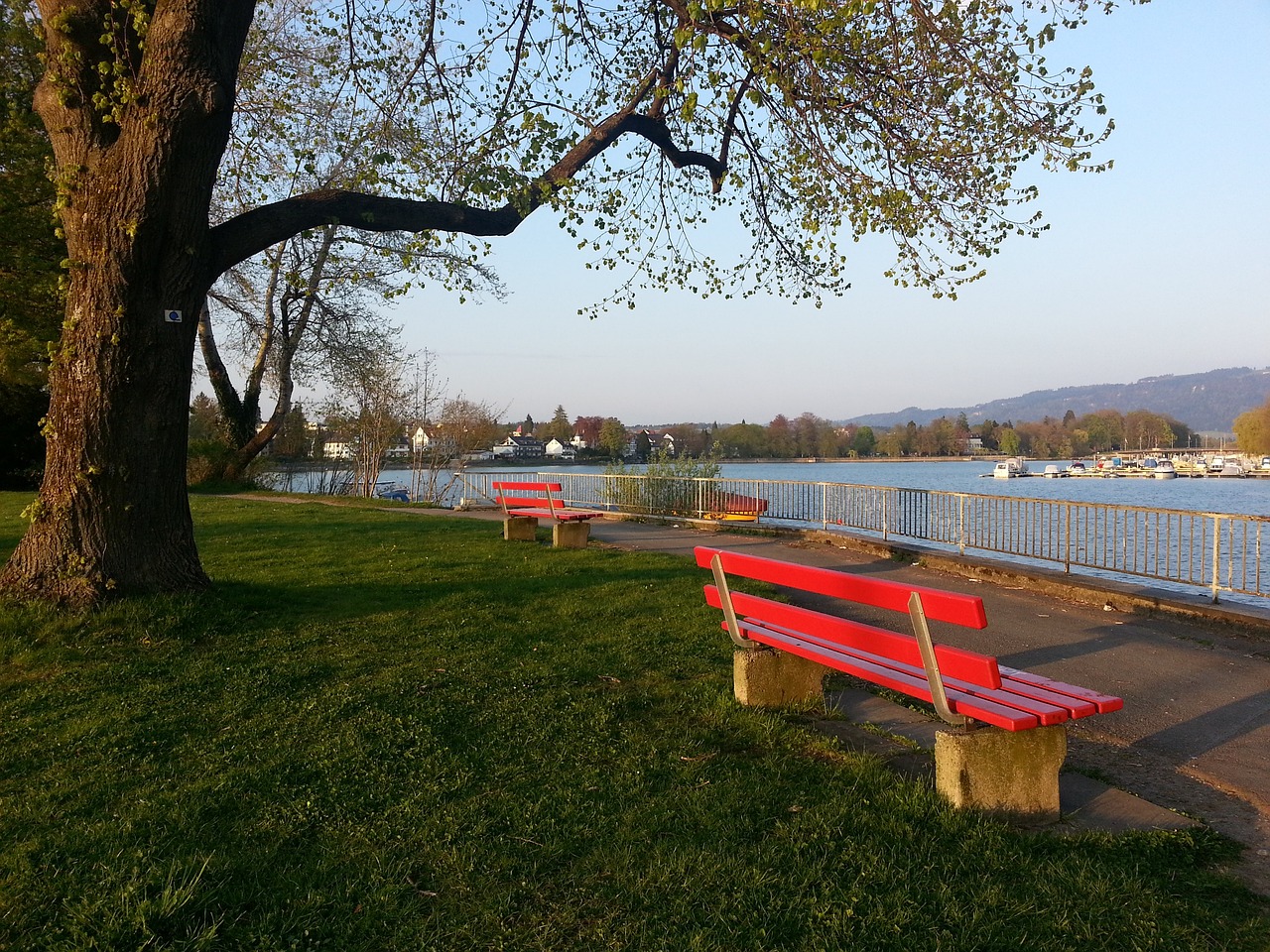 作为中华民 作为中华民