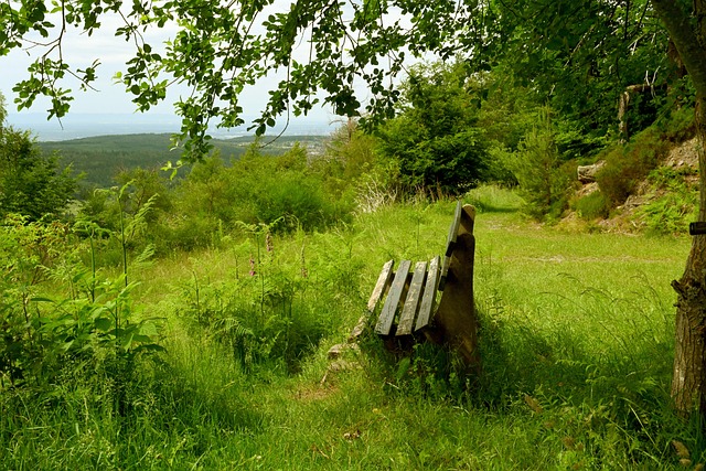 過科技數據 過科技數據