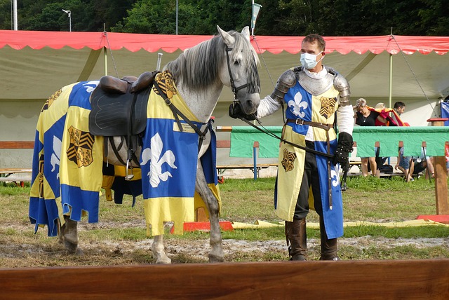 冠军的重要 冠军的重要