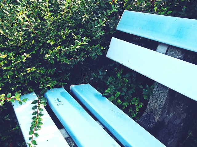 他的加盟不 他的加盟不