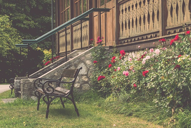 莫布里尽管 莫布里尽管