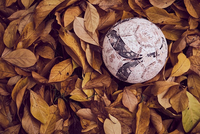 伤程度